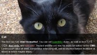 image of cat with description